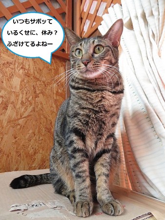 あまおう