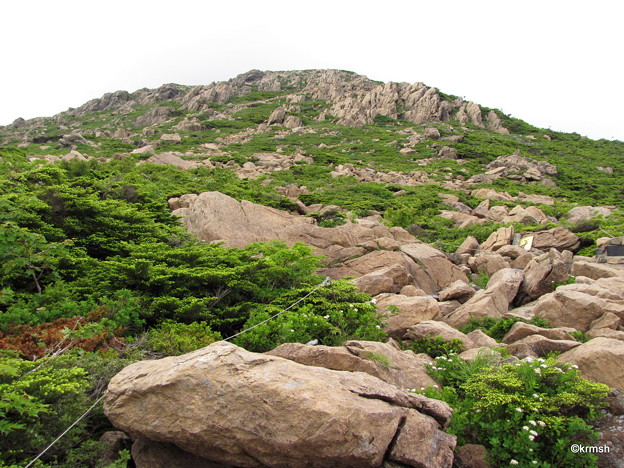 小田越コース