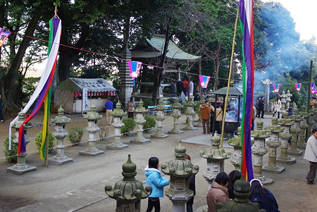 IMGP2315
