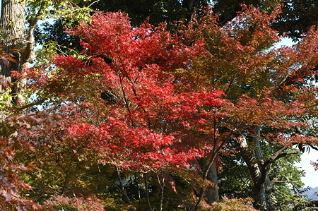 Kamakura 2