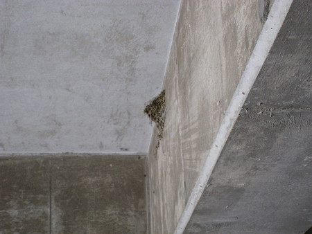 20080522