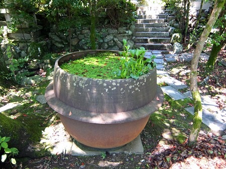 多賀神社14