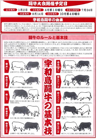 宇和島闘牛の基本技