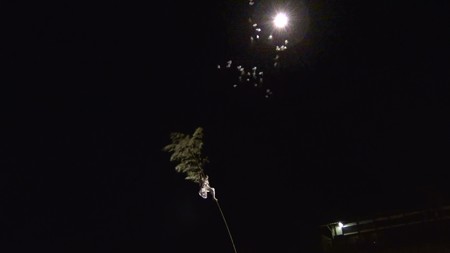 和霊大祭クライマックス 御幣取り 二人目7