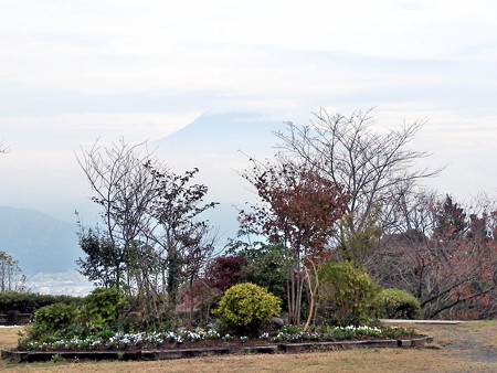 日本平05