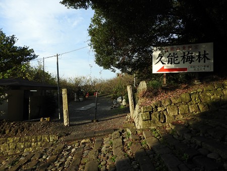 久能山東照宮09 久能梅林