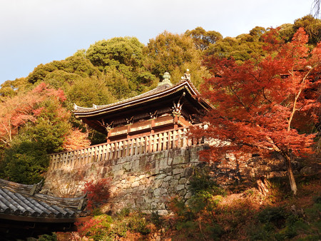 知恩院18