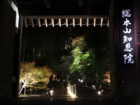 知恩院(ライトアップ)31