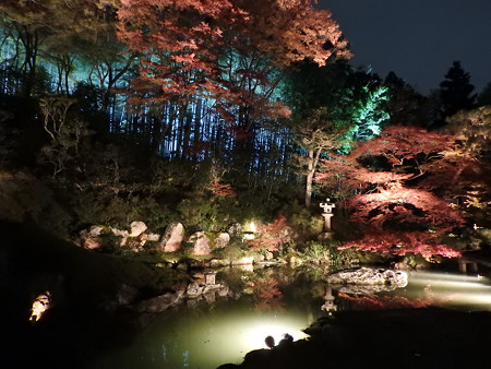青蓮院門跡(ライトアップ)15 築山泉水庭