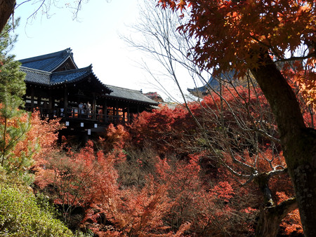 東福寺40