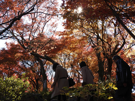 東福寺50