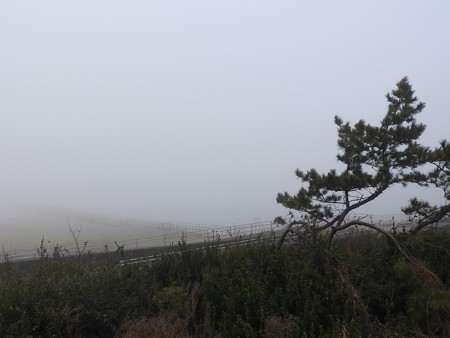 霧の朝 幕張海岸01