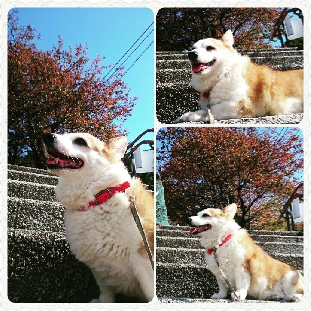 紅葉はじまり