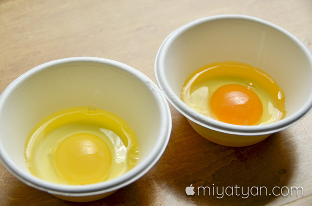 20160410motomatifood (18 - 35)