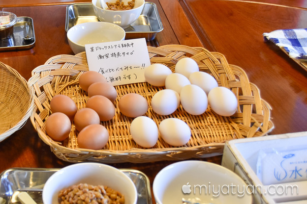20160410motomatifood (22 - 35)