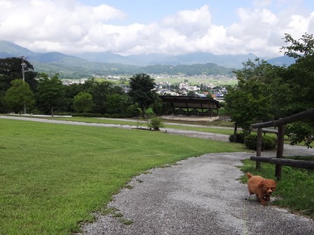 山王山公園a