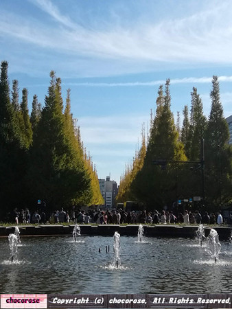明治神宮外苑いちょう並木の紅葉2018噴水からの眺め