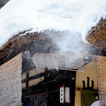 Photos: IMG_7943