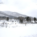 Photos: IMG_7969