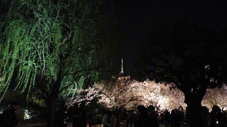 東寺