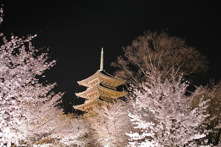 東寺