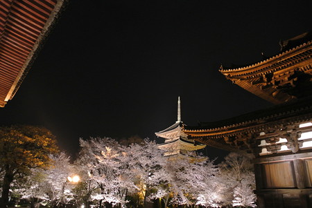 東寺