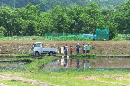 2014.05.31　追分市民の森　田植体験