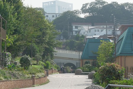 2015.10.22 東横フラワー緑道 反町駅前