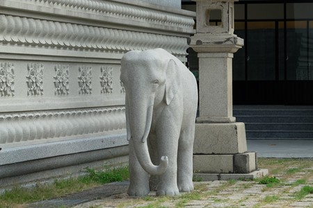 2015.11.09　台中　宝覚寺本堂　象の石像