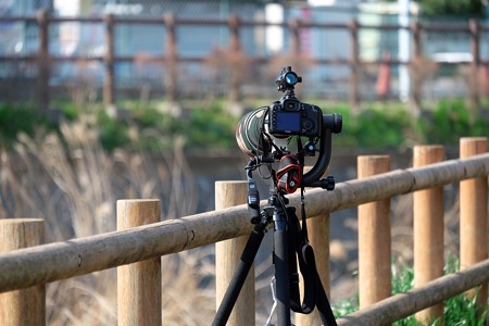 2016.03.23　和泉川　Canon EOS 7D　重装備
