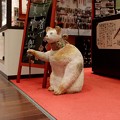 Photos: 2018.12.14　丸ビル　夏野　招き猫