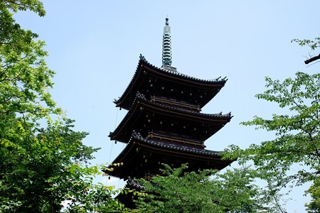 2019.05.30　上野公園　旧寛永寺五重塔