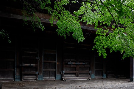 2019.08.20　東京国立博物館　黒門