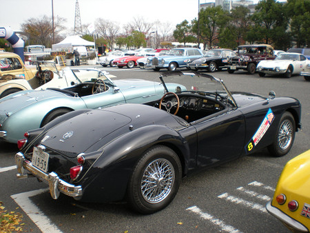 resize0635