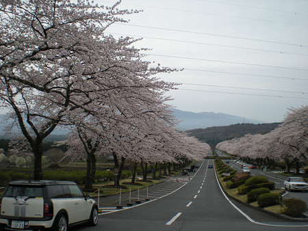 resize0804
