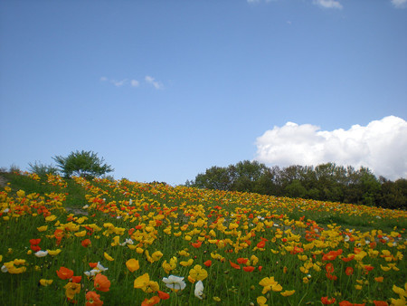 resize0827
