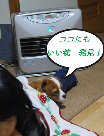 枕~