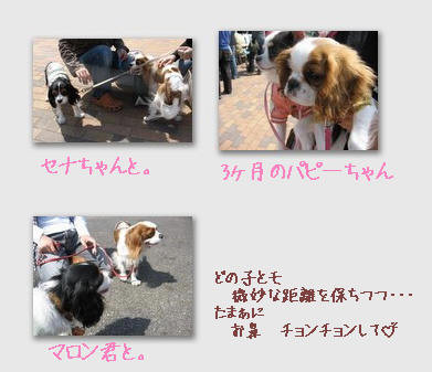 ハウジングセンター