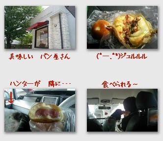 さくら パン