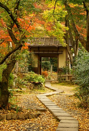 京都・紅葉さんぽ~12♪