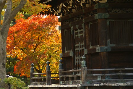 京都・紅葉さんぽ~36♪