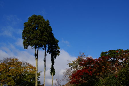 京都・洛東さんぽ~1♪