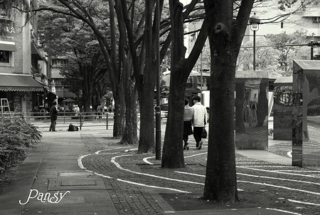 横浜 Sketch・・8
