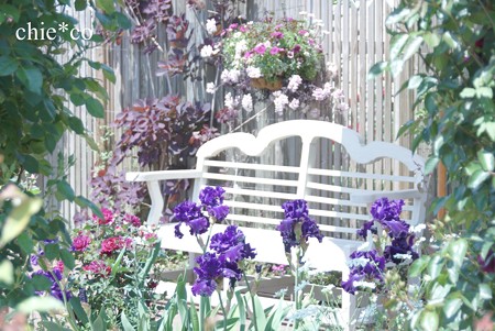 横浜 English Garden-086