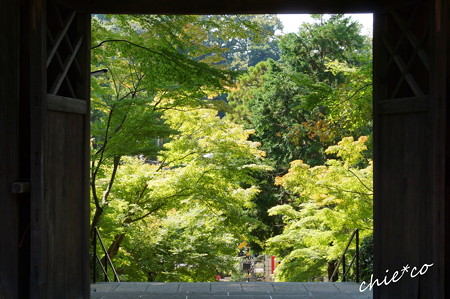 北鎌倉-269