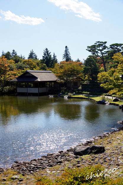 昭和記念公園-417