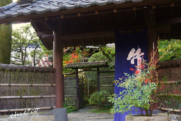 DSC08598-001