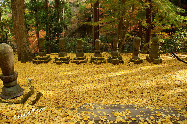 東慶寺-239