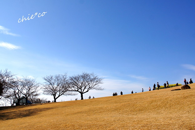 吾妻山公園-178