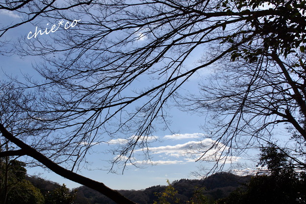 鎌倉-143
